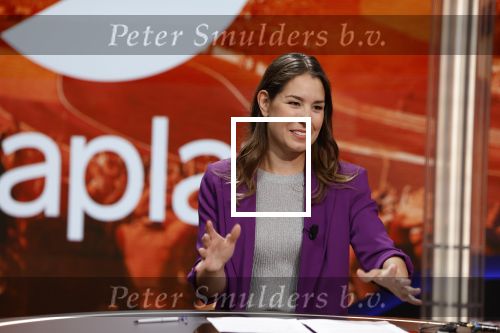 Hilversum 26 augustus 2022
Perspresentatie Viaplay met oa Amber Brantsen Christijan Albers Giedo v d Garde Sebastiaan Bleekemolen en Allard Kalff.