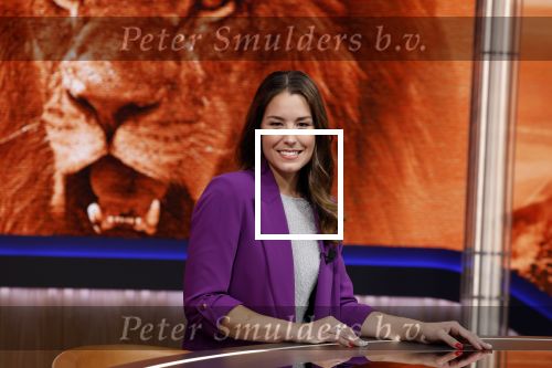 Hilversum 26 augustus 2022
Perspresentatie Viaplay met oa Amber Brantsen Christijan Albers Giedo v d Garde Sebastiaan Bleekemolen en Allard Kalff.