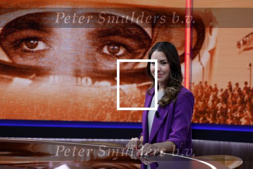 Hilversum 26 augustus 2022
Perspresentatie Viaplay met oa Amber Brantsen Christijan Albers Giedo v d Garde Sebastiaan Bleekemolen en Allard Kalff.