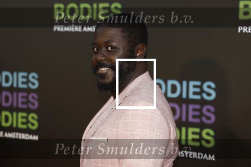 Amsterdam 24 augustus 2022
Premiere Bodies Bodies Bosies van Halina Reijn in Tuschinski . Andre Dongelmans