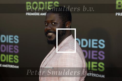 Amsterdam 24 augustus 2022
Premiere Bodies Bodies Bosies van Halina Reijn in Tuschinski . Andre Dongelmans