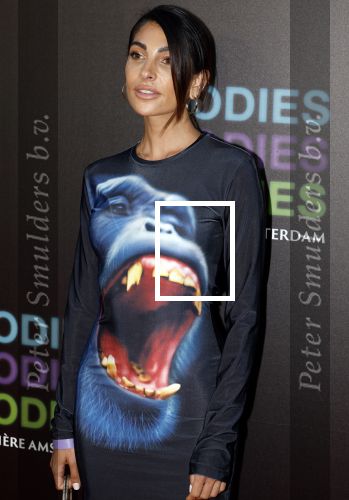 Amsterdam 24 augustus 2022
Oremiere Bodies Bodies Bosies van Halina Reijn in Tuschinski . Anna Nooshin