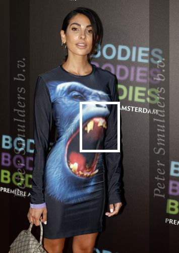 Amsterdam 24 augustus 2022
Oremiere Bodies Bodies Bosies van Halina Reijn in Tuschinski . Anna Nooshin