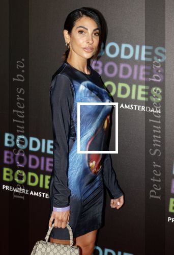 Amsterdam 24 augustus 2022
Oremiere Bodies Bodies Bosies van Halina Reijn in Tuschinski . Anna Nooshin