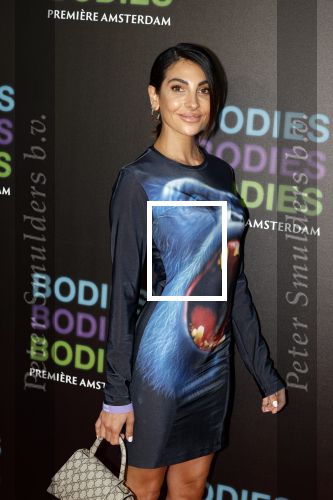 Amsterdam 24 augustus 2022
Oremiere Bodies Bodies Bosies van Halina Reijn in Tuschinski . Anna Nooshin