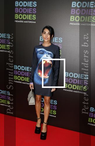 Amsterdam 24 augustus 2022
Oremiere Bodies Bodies Bosies van Halina Reijn in Tuschinski . Anna Nooshin