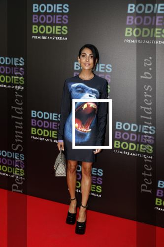 Amsterdam 24 augustus 2022
Oremiere Bodies Bodies Bosies van Halina Reijn in Tuschinski . Anna Nooshin