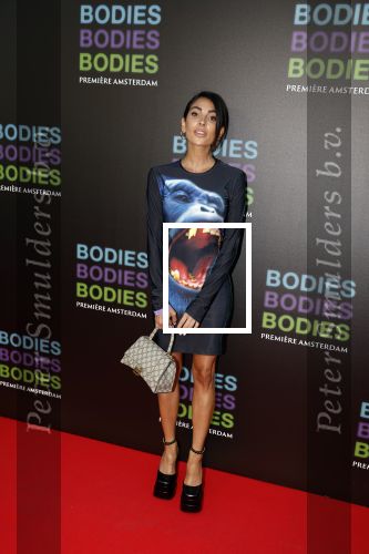 Amsterdam 24 augustus 2022
Oremiere Bodies Bodies Bosies van Halina Reijn in Tuschinski . Anna Nooshin