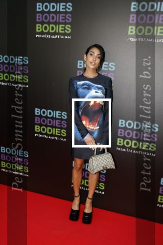 Amsterdam 24 augustus 2022
Oremiere Bodies Bodies Bosies van Halina Reijn in Tuschinski . Anna Nooshin