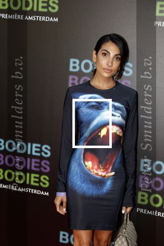 Amsterdam 24 augustus 2022
Oremiere Bodies Bodies Bosies van Halina Reijn in Tuschinski . Anna Nooshin
