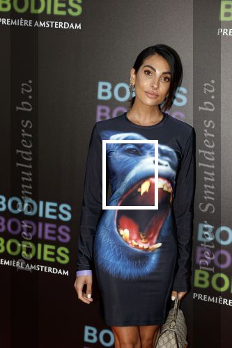 Amsterdam 24 augustus 2022
Oremiere Bodies Bodies Bosies van Halina Reijn in Tuschinski . Anna Nooshin