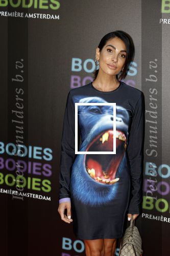 Amsterdam 24 augustus 2022
Oremiere Bodies Bodies Bosies van Halina Reijn in Tuschinski . Anna Nooshin