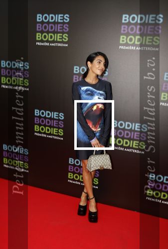 Amsterdam 24 augustus 2022
Oremiere Bodies Bodies Bosies van Halina Reijn in Tuschinski . Anna Nooshin