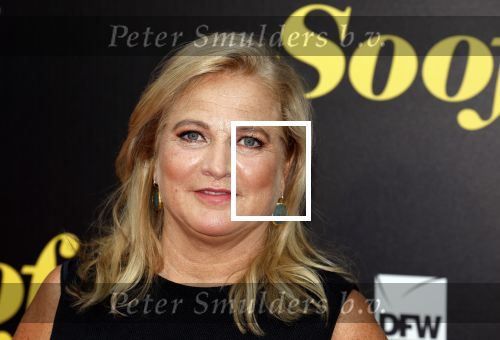 Amsterdam 5 september 2022
Premere Soof 3 in Tuschinski. Anneke Blok