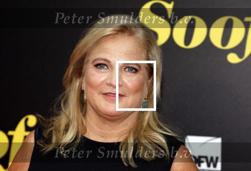 Amsterdam 5 september 2022
Premere Soof 3 in Tuschinski. Anneke Blok