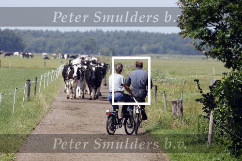 Ruinerwold 3 augustus 2022
Boer Evert met zijn nieuwe vriendin Maud bij zijn boerderij . Matthijs Albers was mee.