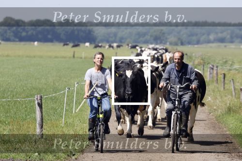 Ruinerwold 3 augustus 2022
Boer Evert met zijn nieuwe vriendin Maud bij zijn boerderij . Matthijs Albers was mee.