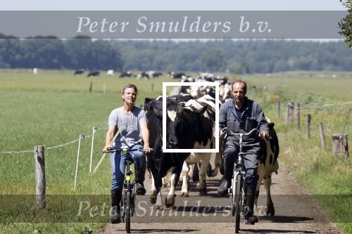 Ruinerwold 3 augustus 2022
Boer Evert met zijn nieuwe vriendin Maud bij zijn boerderij . Matthijs Albers was mee.
