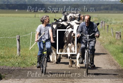 Ruinerwold 3 augustus 2022
Boer Evert met zijn nieuwe vriendin Maud bij zijn boerderij . Matthijs Albers was mee.