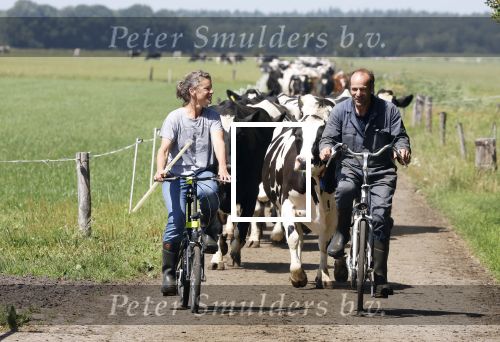 Ruinerwold 3 augustus 2022
Boer Evert met zijn nieuwe vriendin Maud bij zijn boerderij . Matthijs Albers was mee.