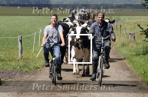 Ruinerwold 3 augustus 2022
Boer Evert met zijn nieuwe vriendin Maud bij zijn boerderij . Matthijs Albers was mee.