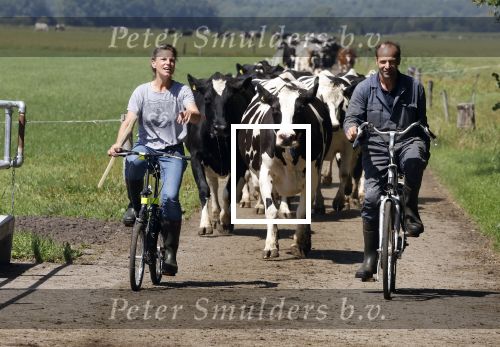 Ruinerwold 3 augustus 2022
Boer Evert met zijn nieuwe vriendin Maud bij zijn boerderij . Matthijs Albers was mee.