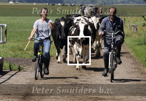 Ruinerwold 3 augustus 2022
Boer Evert met zijn nieuwe vriendin Maud bij zijn boerderij . Matthijs Albers was mee.