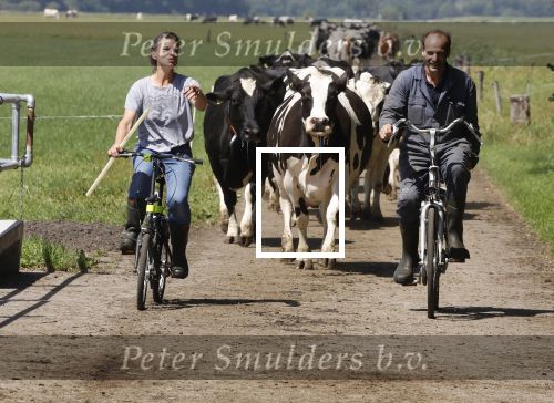 Ruinerwold 3 augustus 2022
Boer Evert met zijn nieuwe vriendin Maud bij zijn boerderij . Matthijs Albers was mee.