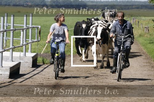 Ruinerwold 3 augustus 2022
Boer Evert met zijn nieuwe vriendin Maud bij zijn boerderij . Matthijs Albers was mee.
