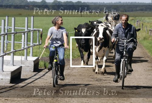 Ruinerwold 3 augustus 2022
Boer Evert met zijn nieuwe vriendin Maud bij zijn boerderij . Matthijs Albers was mee.
