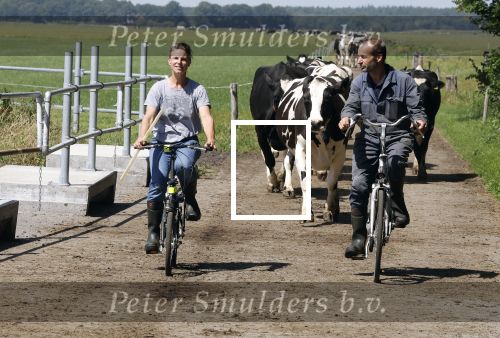 Ruinerwold 3 augustus 2022
Boer Evert met zijn nieuwe vriendin Maud bij zijn boerderij . Matthijs Albers was mee.