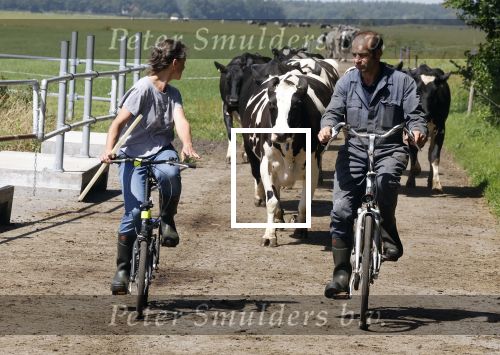 Ruinerwold 3 augustus 2022
Boer Evert met zijn nieuwe vriendin Maud bij zijn boerderij . Matthijs Albers was mee.