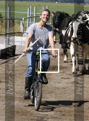 Ruinerwold 3 augustus 2022
Boer Evert met zijn nieuwe vriendin Maud bij zijn boerderij . Matthijs Albers was mee.