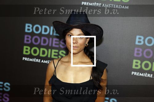 Amsterdam 24 augustus 2022
Premiere Bodies Bodies Bosies van Halina Reijn in Tuschinski . Chloe Leenheer en ....