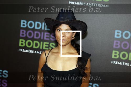 Amsterdam 24 augustus 2022
Premiere Bodies Bodies Bosies van Halina Reijn in Tuschinski . Chloe Leenheer en ....