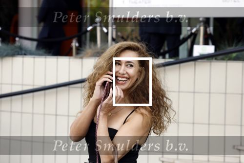 Hilversum 30 augustus 2022
Perspresentatie NPO in theater Gooiland.
Fidan Ekiz