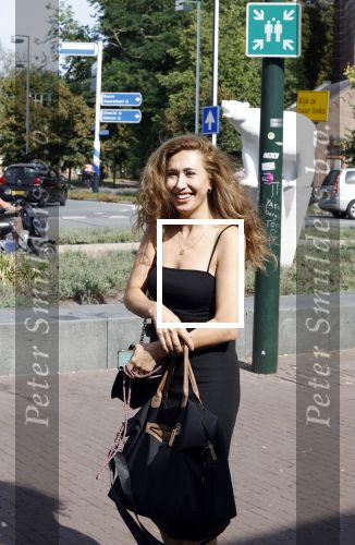 Hilversum 30 augustus 2022
Perspresentatie NPO in theater Gooiland.
Fidan Ekiz