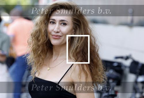 Hilversum 30 augustus 2022
Perspresentatie NPO in theater Gooiland.
Fidan Ekiz