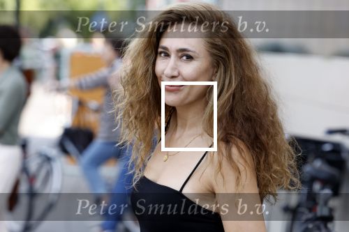 Hilversum 30 augustus 2022
Perspresentatie NPO in theater Gooiland.
Fidan Ekiz