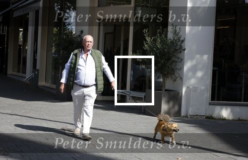 Amsterdam 12 september 2022
Frans Mulder met zijn hond in amsterdam zuid