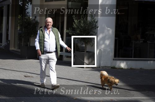 Amsterdam 12 september 2022
Frans Mulder met zijn hond in amsterdam zuid