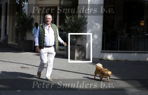 Amsterdam 12 september 2022
Frans Mulder met zijn hond in amsterdam zuid