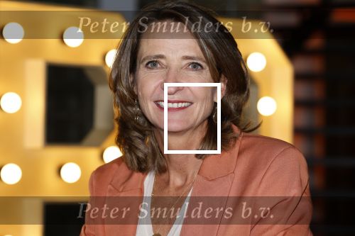 Hilversum 30 augustus 2022
Perspresentatie NPO in theater Gooiland.
Frederique Leeflang (voorzitter Raad van Bestuur NPO)