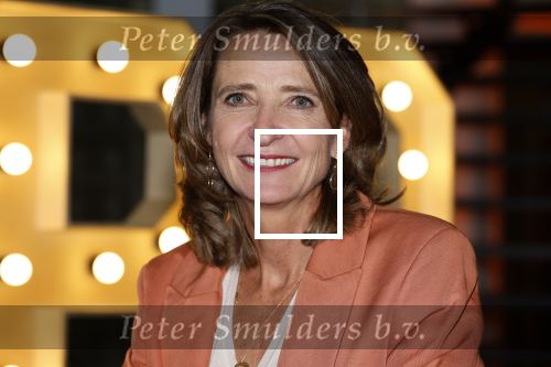 Hilversum 30 augustus 2022
Perspresentatie NPO in theater Gooiland.
Frederique Leeflang (voorzitter Raad van Bestuur NPO)