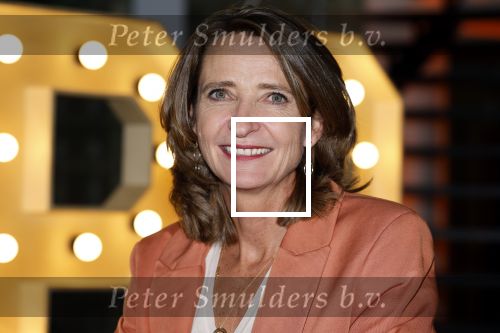 Hilversum 30 augustus 2022
Perspresentatie NPO in theater Gooiland.
Frederique Leeflang (voorzitter Raad van Bestuur NPO)