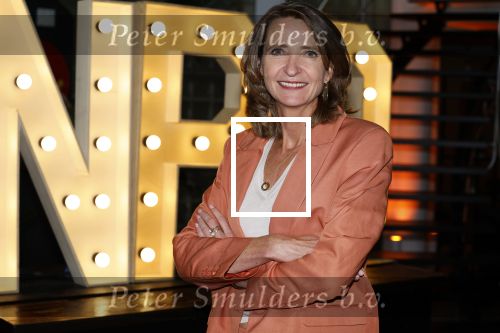 Hilversum 30 augustus 2022
Perspresentatie NPO in theater Gooiland.
Frederique Leeflang (voorzitter Raad van Bestuur NPO)