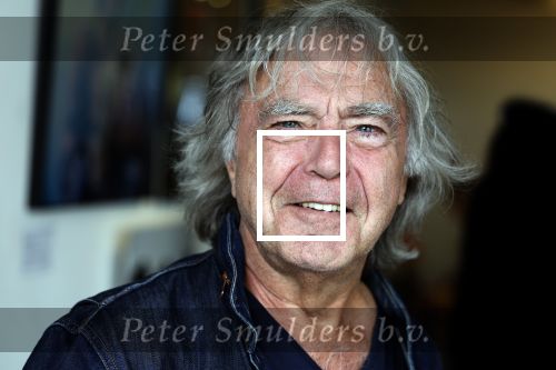 Amsterdam 17 september 2022
Opening expositie Govert de Roos en Bert Tier in galerie Zo Mooi