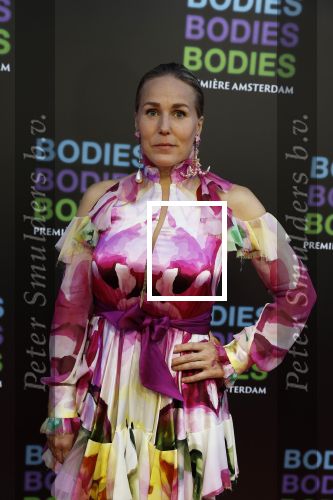 Amsterdam 24 augustus 2022
Premiere Bodies Bodies Bosies van Halina Reijn in Tuschinski . Hadewych Minis