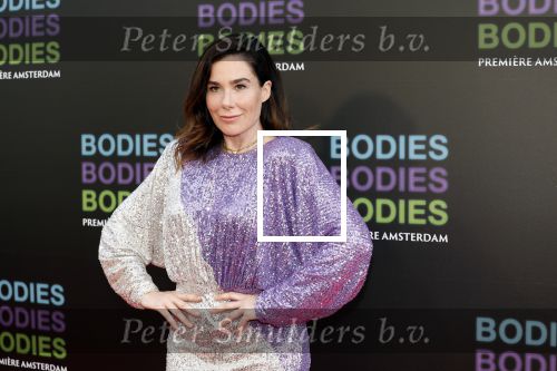 Amsterdam 24 augustus 2022
Oremiere Bodies Bodies Bosies van Halina Reijn in Tuschinski . `Halina en haar hartsvriendin Carice v Houten