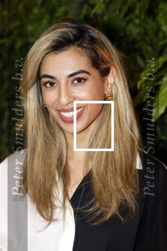 Hilversum 30 augustus 2022
Perspresentatie NPO in theater Gooiland.
Hila Noorzai